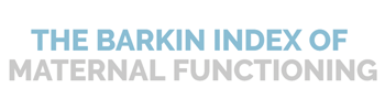Barkin Index of Maternal Functioning